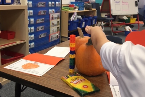 Kindergarten students got elbow deep into some big orange pumpkins.  Who knew that pumpkins could provide a math question, “how tall is the pumpkin?” a science experience “let’s investigate the seeds.” and a writing piece “describe your pumpkin”.
