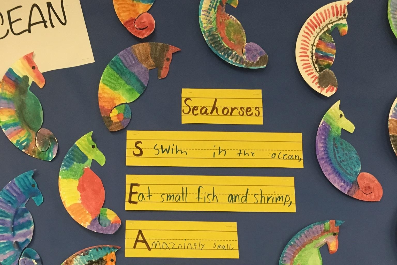 Mrs. Sanchez's Explorers dove into learning about Seahorses this week! They produced some amazing writing to reflect their learning!