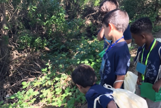 Our Kindergarten Explorers had a field lesson to the Cosumnes River Preserve where they explored nature and had a great time absorbing so much knowledge.