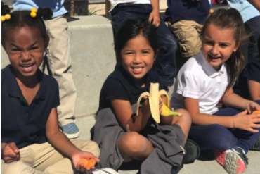 The Kindergarten Team received a grant from Raley's that will allow them to provide fresh fruit for their students as a healthy snack in class for the rest of the school year!