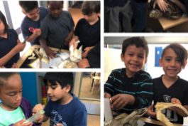 Getting to touch and see animal adaptations up close makes learning so much fun! #fantasticfirsties #WCSJoyfulLearning #sciencerules #Explorit!
