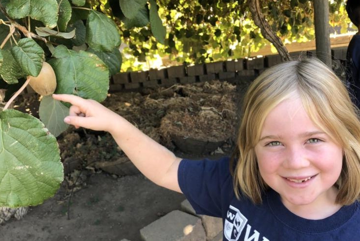 Our 2nd graders went on a field lesson to Cal Expo’s Farm Tour. This lesson went hand in hand with their Farm to Fork unit where students learn about ecosystems, producers, and consumers!