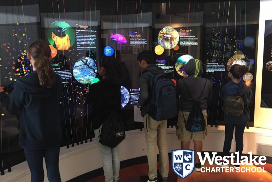 Our 7th graders had an impactful field lesson in San Francisco this week at the California Academy of Sciences. They experienced hands on learning with statistics, graphing, earthquakes, environments, and more. Thank you for donating to our field lessons at westlakecharter.com/donations