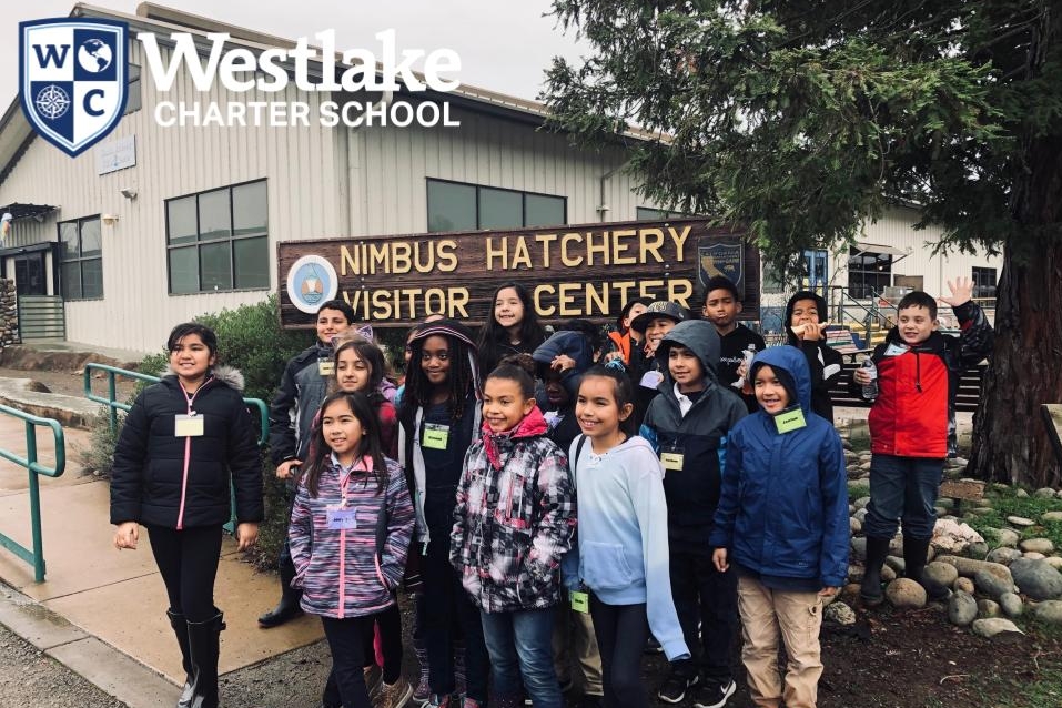 Our 3rd grade Explorers had a blast at the Nimbus Fish Hatchery field trip this week! #WCSInquisitive