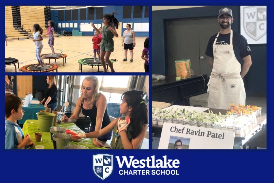Healthy Living Night was a success. Huge thank you to WAVE, Shelly Christy, Danielle Christy, Ravin Patel, and Sian Burman for this incredible night of community engagement.