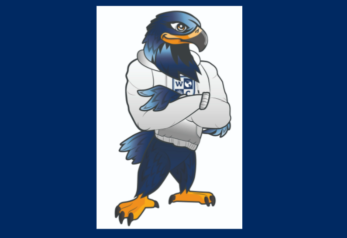 Introducing our new K-12 mascot, Everest the Explorer! The name, animal, and design was inspired by students in our High School Spirit Council.