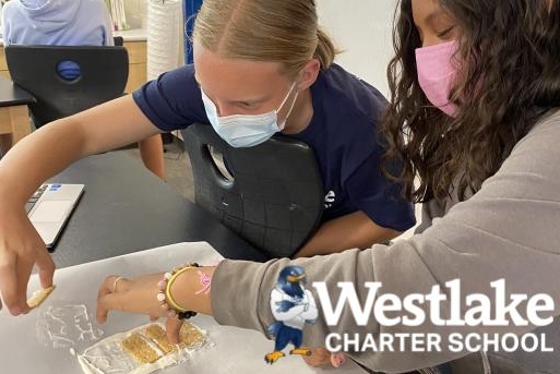 Check out the hands-on learning that happened with graham crackers and frosting! Our middle school Explorers are learning how plate tectonics function in Science class this week! #WcsJoyfulLearning