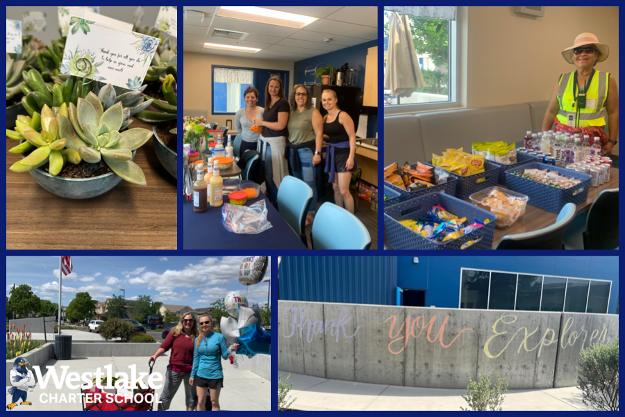 Thank you Explorer families for appreciating us this week during National Staff Appreciation week. Every snack, note, joke, treat, gift and card filled our staff with gratitude. A special shoutout to our WAVE parent volunteers for bringing breakfast, lunch, snacks, and plants to our campuses! #WCSGratitude