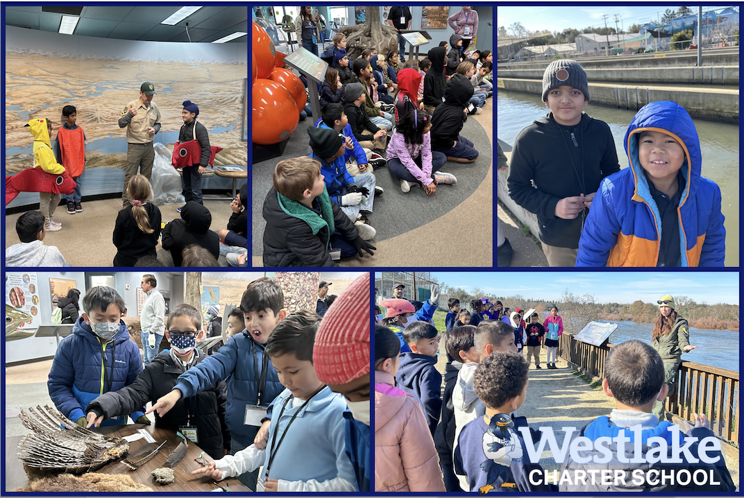 Our 3rd Grade Explorers visited the Nimbus Fish Hatchery last week for a day of hands-on learning. #WCSJoyfulLearning