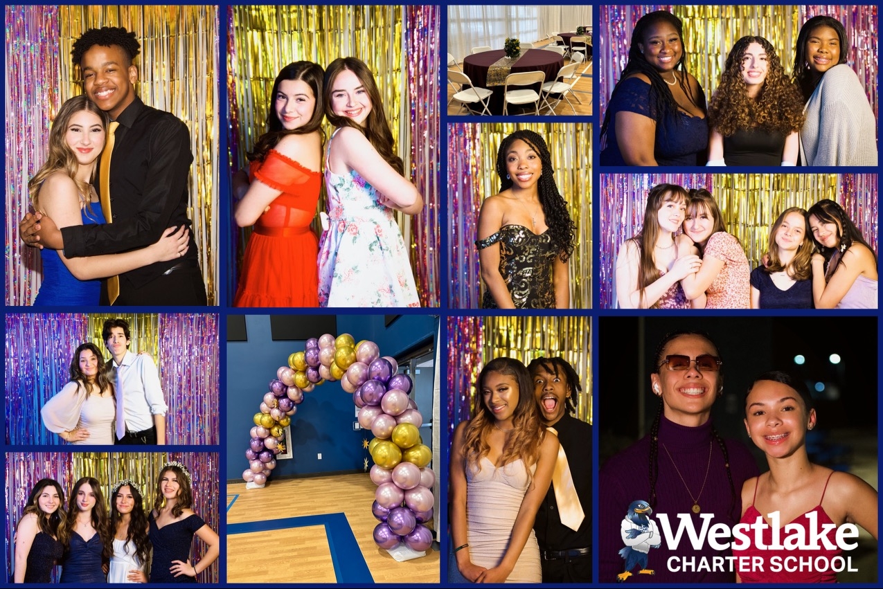 WCHS students were treated to a magical experience at the Tangled With You Spring Semi-Formal.  This event was a team effort spearheaded by WCHS Activities Director Abigail Grimaldi.  Thank you to Mrs. Grimaldi, our volunteer staff chaperones, families who donated, and the army of families who spent Saturday setting up and cleaning up.  Thank you all for making this experience possible. #WestlakeCharter