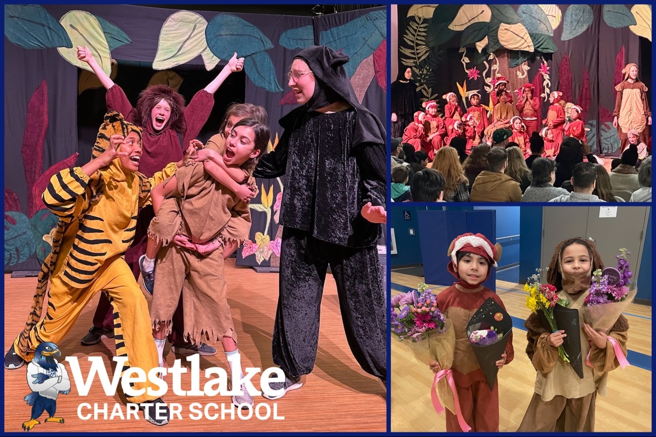 Congratulations to our more than 60 Explorer students who put on a full-scale musical production of The Jungle Book with Missoula Children’s Theater on Saturday. Thank you to WAVE for sponsoring this after school enrichment opportunity.