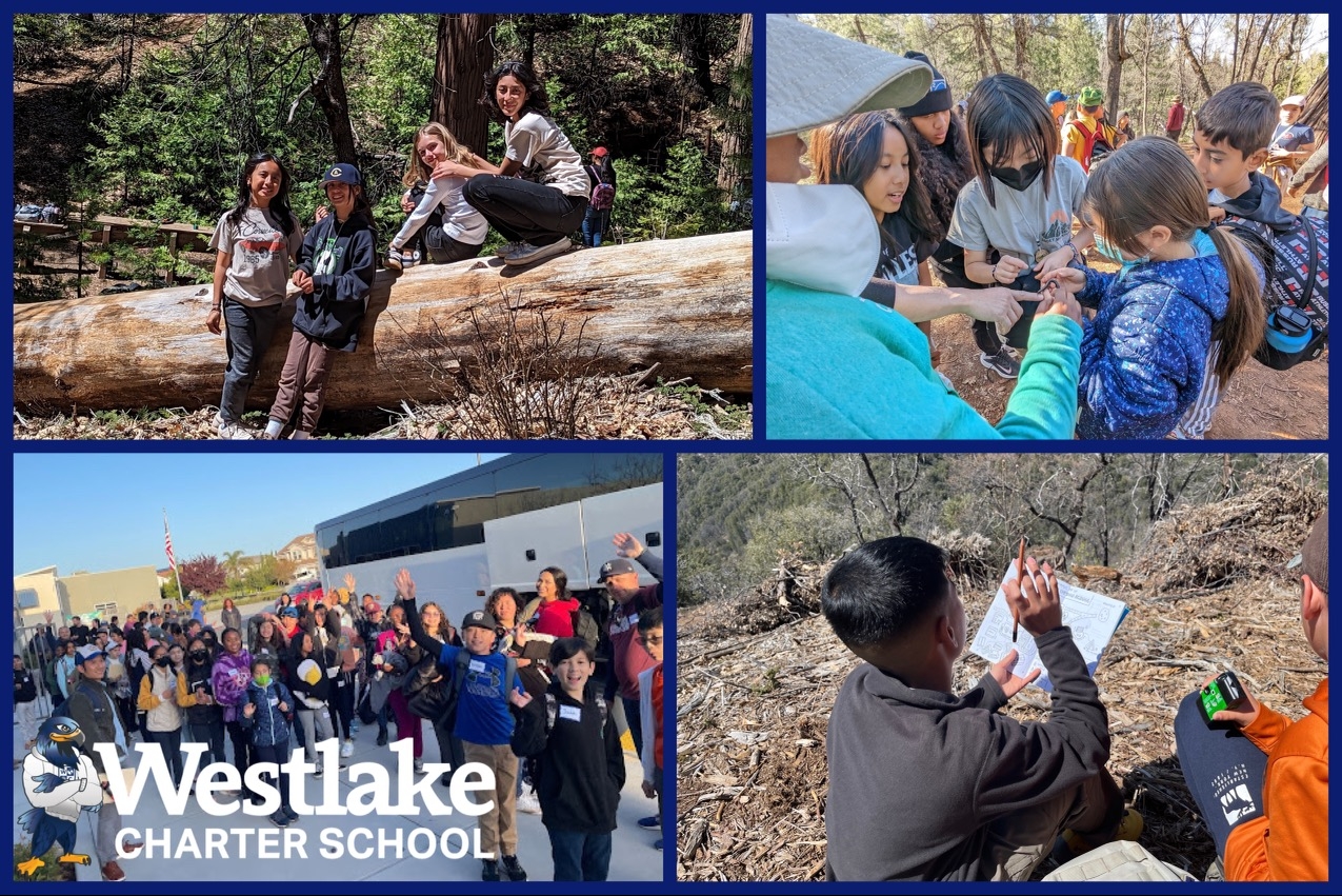Our 6th grade Explorers had an awesome trip last week at Sierra Outdoor School! Thank you to our Explorer staff and parent volunteers for chaperoning such a memorable field lesson! #WCSJoyfulLearning