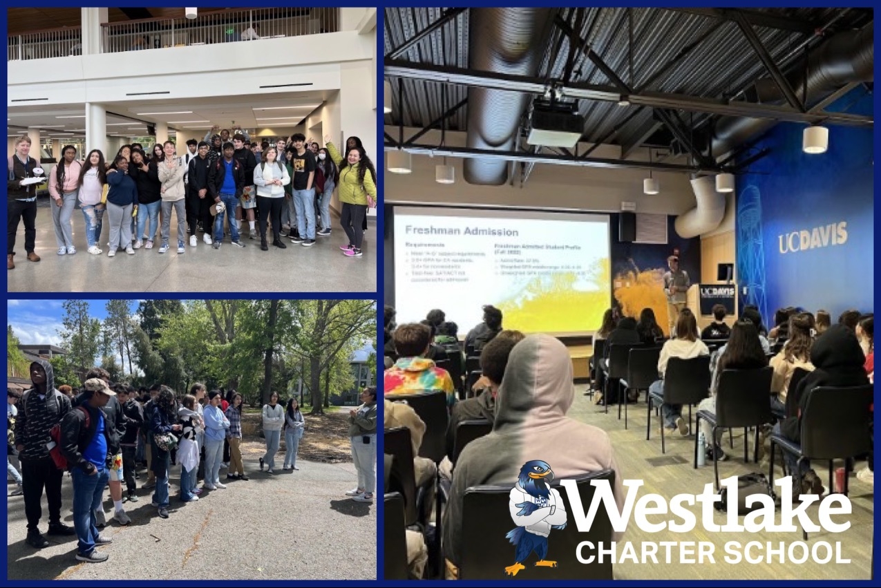 Our WCHS Explorers headed out into the world to learn more about college life this week on their college field lessons. Our Ninth grade Explorers visited UC Davis and Sonoma State University and our 10th graders visited San Francisco State University.