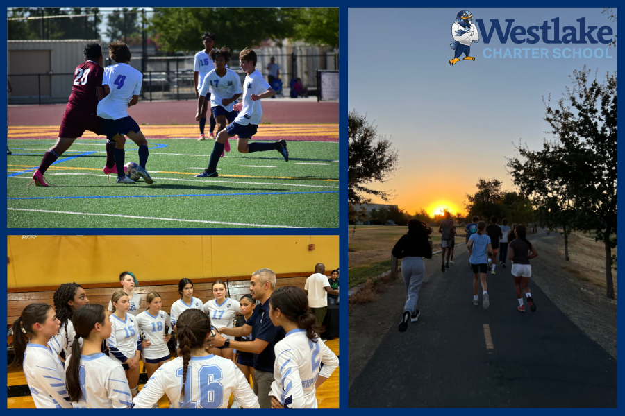 Westlake Charter High School Fall Athletics are in full swing! Our Coed Cross Country, Girls Volleyball, and Boys Soccer Teams are exhibiting #Excellence in their training and great sportsmanship during competitions.