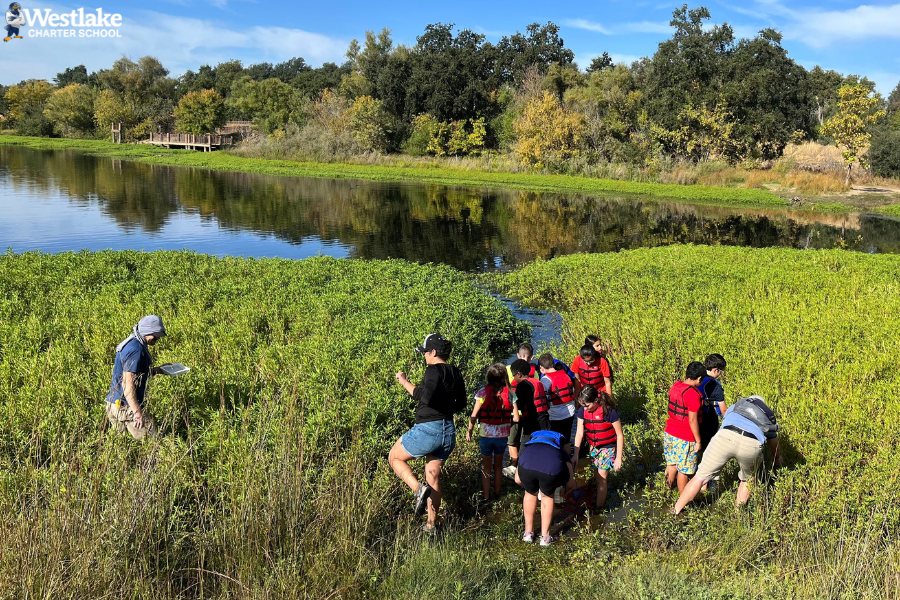 Our 5th graders went on a field lesson to William B. Pond to enrich their science curriculum. The field lesson consisted of on campus learning followed by wading in the pond to see the ecosystems in action! Thank you to all of our amazing chaperones for volunteering your time.