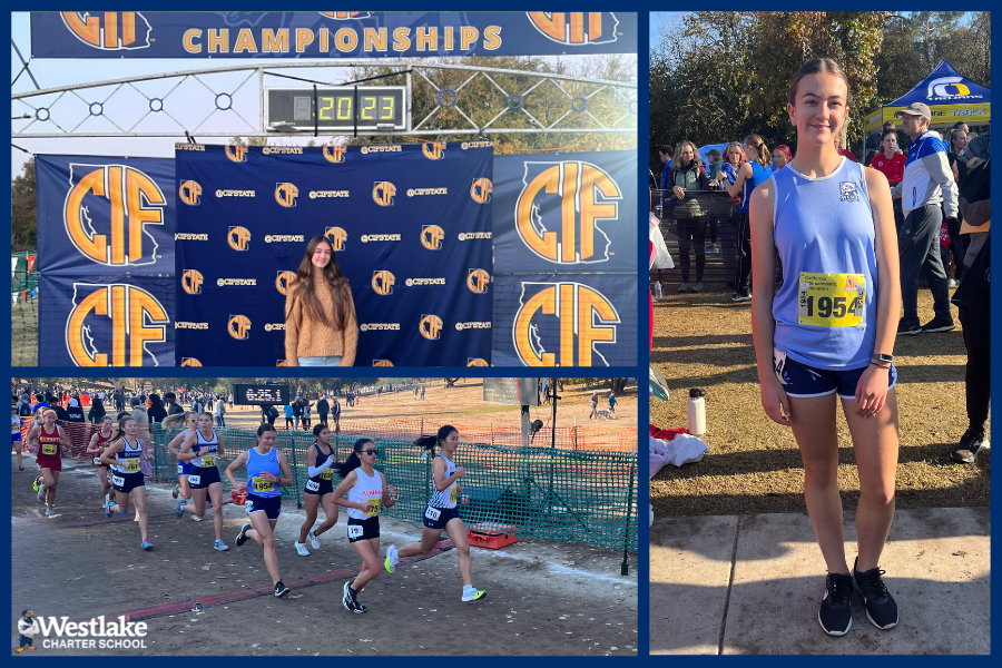 Congratulations to Colleen Johnson for qualifying for the Cross Country State Championship at the varsity level as a freshman and for being WCHS’s first student-athlete to compete at the state level in any sport. She ran a great State Championship race to cap off a solid season!