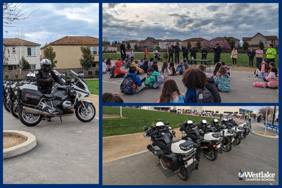 The K-8 Pedestrian Safety Campaign was amazing!  Signed pledges poured in and we’re seeing an increase in safe pedestrians and motorists during arrival and dismissal each day! WCS partnered with the Sac PD motorcycle unit to support in engaging our Explorers with what it means to be a safe pedestrian!