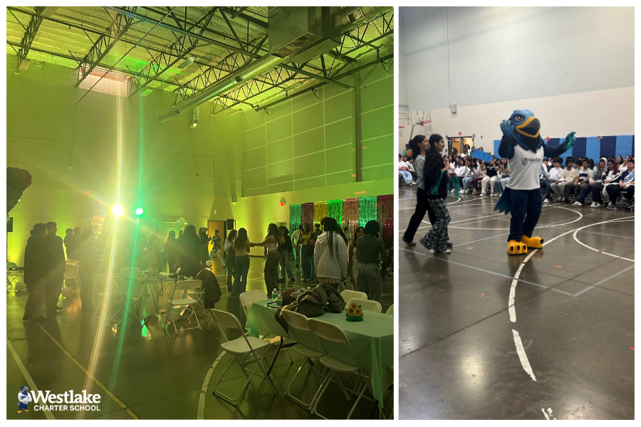 Last Friday was a busy day at WCHS filled with student spirit and fun!  Thank you to our leadership teacher Mr. Rubin and his students for putting on a high-energy rally and to our high school activities director Mrs. Grimaldi who transformed the gym into a magical spring celebration for the “Hello Spring” dance.  Thank you to all of the families who stepped in to donate and set up and clean up for the dance.  Memories were made and fun was had by all!
