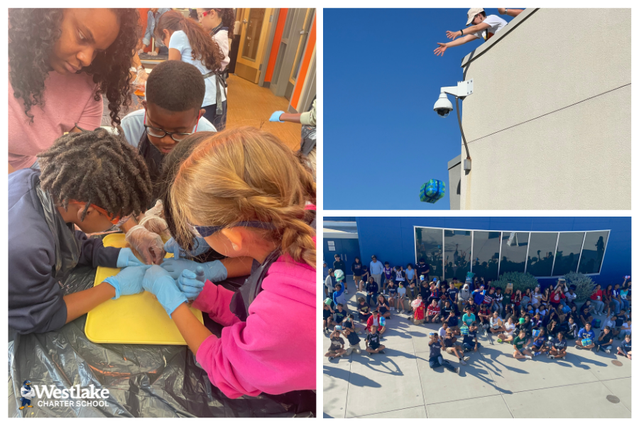 Our Explorers are engaging in the scientific process across our K-8 Campus!  From our 4th graders learning about animal adaptations and participating in hands-on learning with squid dissections to our 8th graders collaborating to design an apparatus that would keep an egg from breaking when being dropped from the roof of the office. Shout out to Mrs. Aguilar, Mr. Chisholm, Mrs. Khera, Mr. Panhorst, Ms. Alexander, and Ms. Lee for these #JoyfulLearning opportunities!