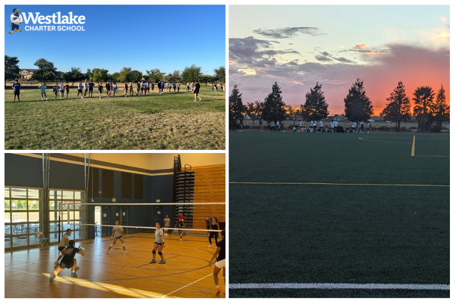Our WCHS Fall Athletics teams have been off to a strong start with a busy summer of conditioning. Cross Country, Boys Soccer, and Girls Volleyball have all been meeting regularly, building skills, strength, and team spirit. We’re proud of the dedication our student-athletes have shown throughout the summer. Let’s go Westlake! Fall sports, here we come!
