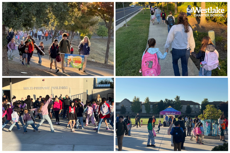 This past week, our K–8 Explorers took part in International Walk to School Day by joining the Walking School Bus from Burberry Park or making their own way to school by walking or rolling! Upon arrival, they were greeted by a live DJ and kicked off the day with music and dancing. A big thank you to our incredible Jibe team for their ongoing support of our students!