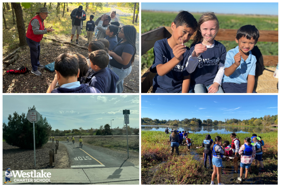 Thank you to all the chaperones who have helped out on our first field lessons of the year. Volunteers make our field lessons possible. Chaperones have helped out at William B. Pond, the Maidu Museum, Dave's Pumpkin Patch, Project Ride Smart’s off campus ride and more!