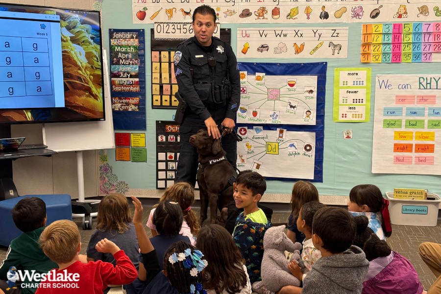 Our Kindergarteners are learning about our community in Social Studies. It is the perfect time to collaborate with some of the community helpers who live and work here in Natomas and Sacramento. Thank you to all the family members  who came to teach our Kindergarten Explorers about the work you do in our community.