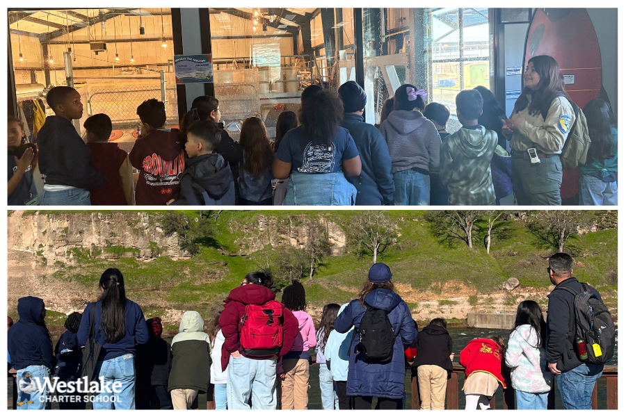 Third grade took learning beyond the classroom with a field trip to the Nimbus Fish Hatchery! While studying adaptations and life cycles, students learned all about salmon in different stages of development and discovered how these fish survive in their environment. It was an engaging and memorable learning experience.