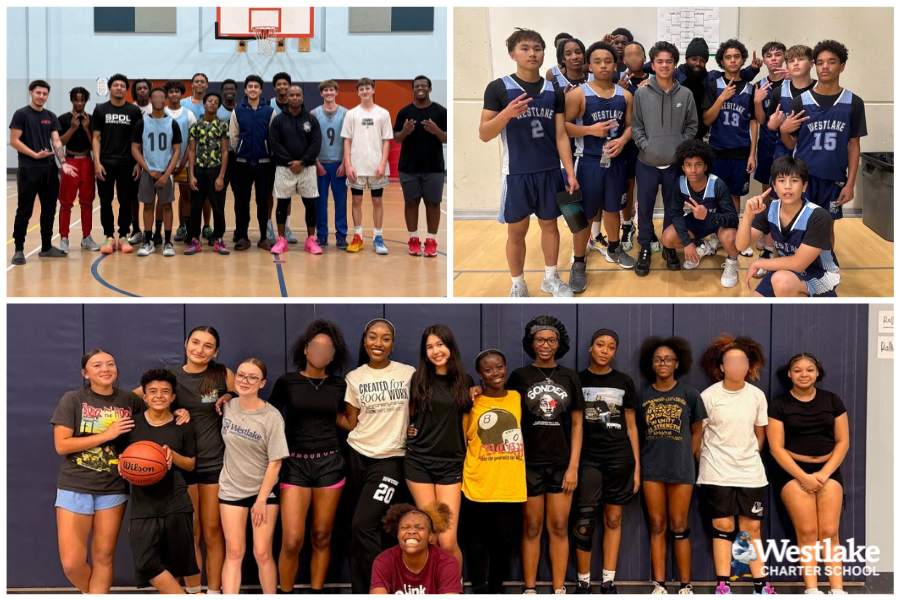 Our JV Boys, Varsity Boys, and Varsity Girls basketball teams are all in the heart of their season and have been putting in tremendous effort on and off the court. Their commitment and teamwork are a great reflection of WCHS pride, and we are proud of their hard work. A big thank you as well to coaches Robert Heard, Dani Robbins, Bianca Sanders, and Sterling Wynne for their dedication to our student-athletes.