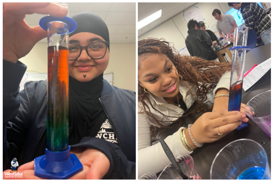 In its debut semester, our Marine Biology elective is already making waves as students explore ocean density through engaging, hands-on learning. We love seeing science come alive in the classroom!