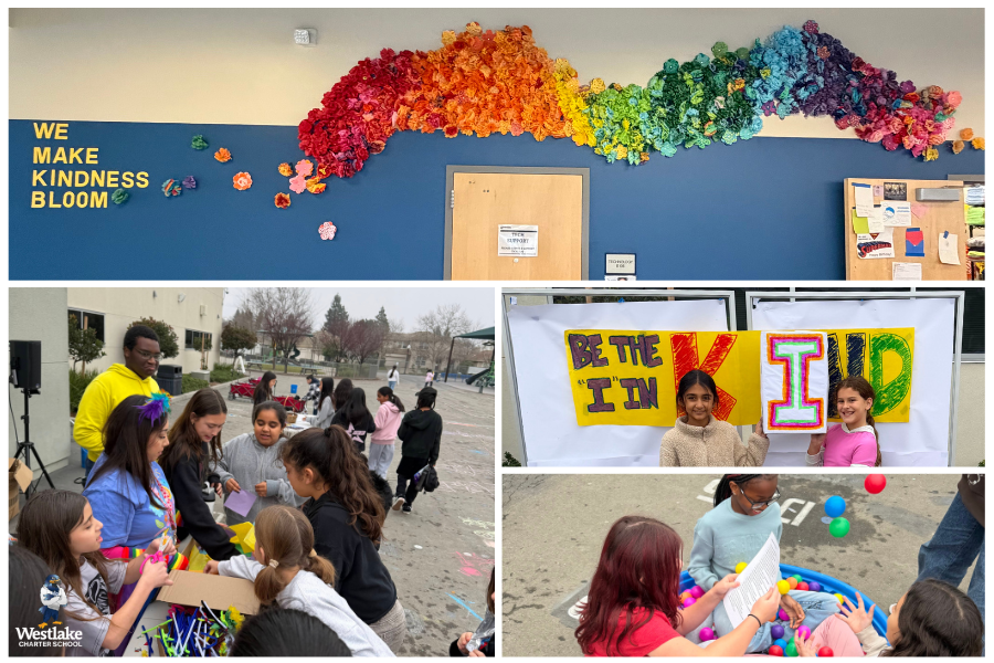Our K-8 Explorers recently participated in The Great Kindness Challenge through Morning Meeting and Advisory activities and a Kindness Carnival, all focused on bringing kindness to their friends, family, community, environment, and themselves!